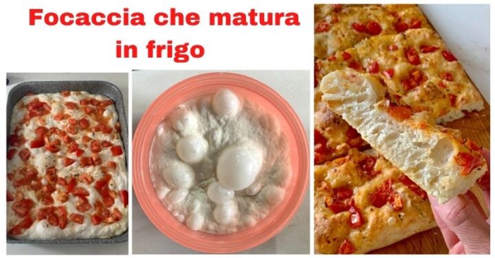 Focaccia lievitazione 24 ore