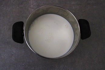 Yogurt greco fatto in casa senza yogurtiera con 2 ingredienti