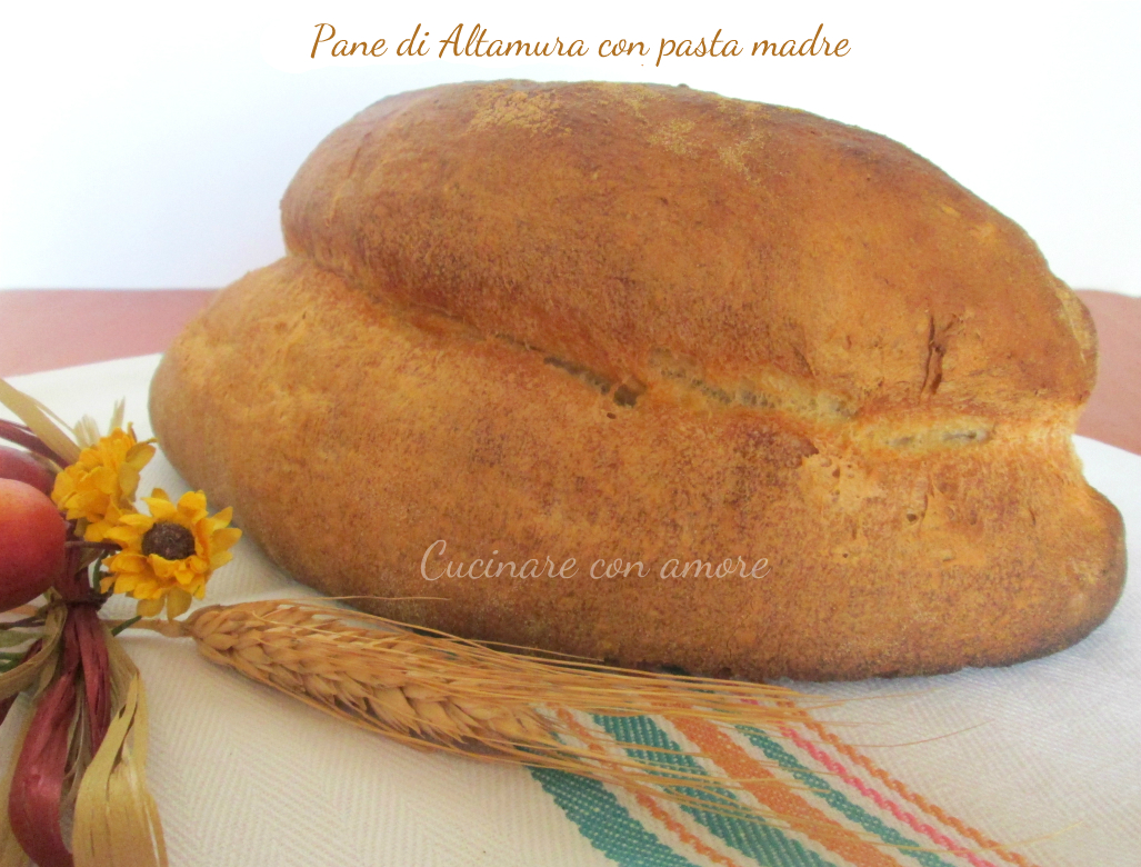 Pane di Altamura con pasta madre 