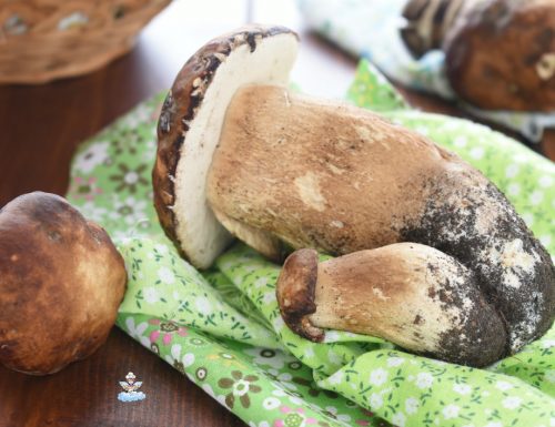 Come congelare i funghi porcini