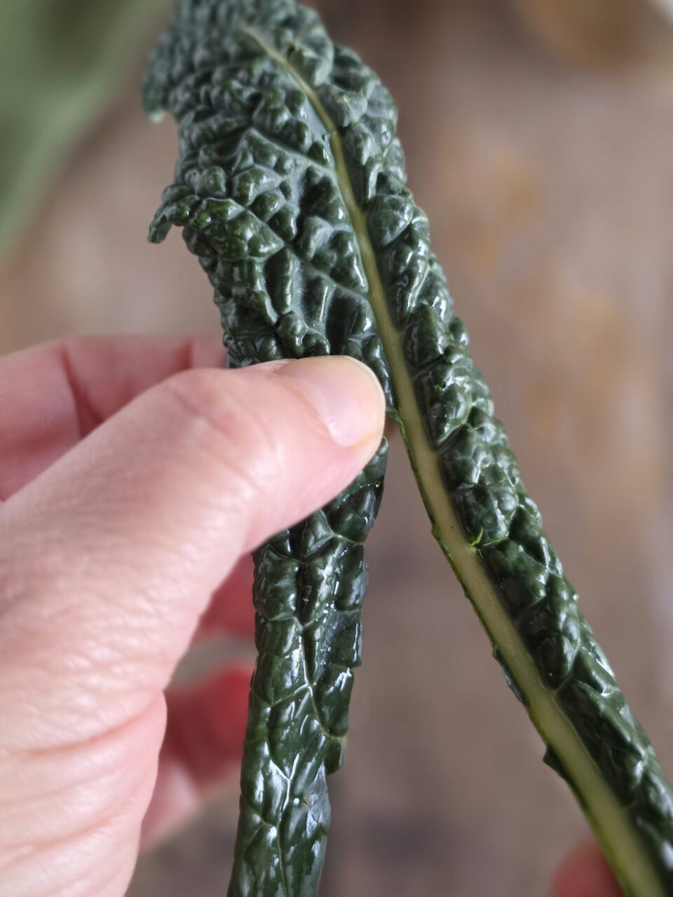 Farinata di ceci con cavolo nero