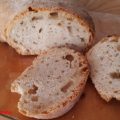 pane di farro, ricetta del pane fatto in casa, pane con poco lievito, pane facile, pane veloce, pane semplice