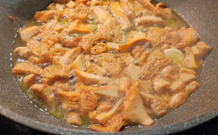 fettuccine ai finferli