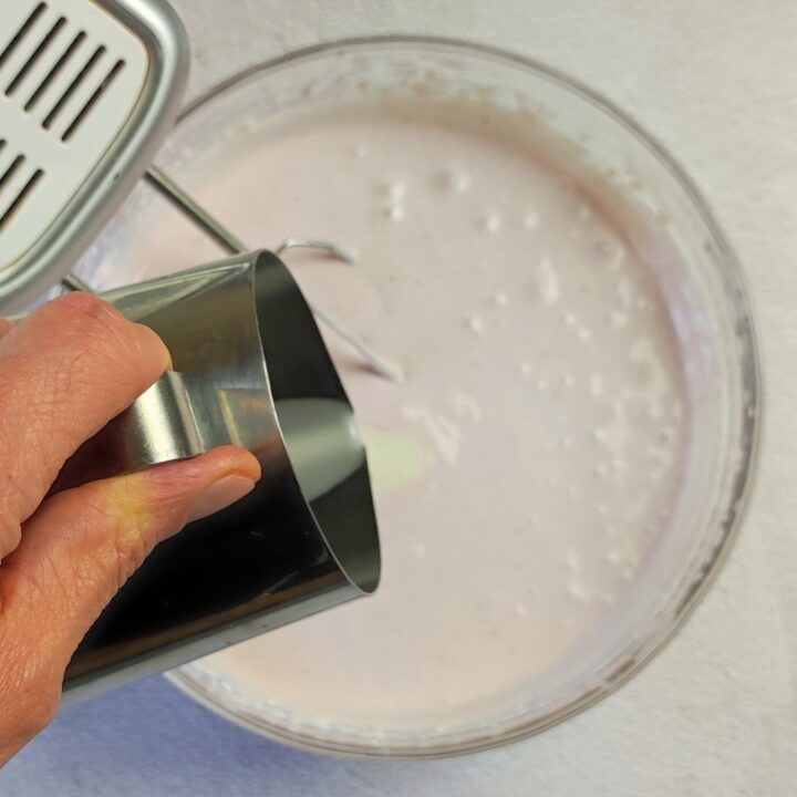 zuccotto cheesecake alle fragole