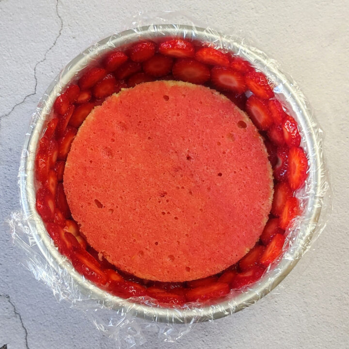 zuccotto cheesecake alle fragole
