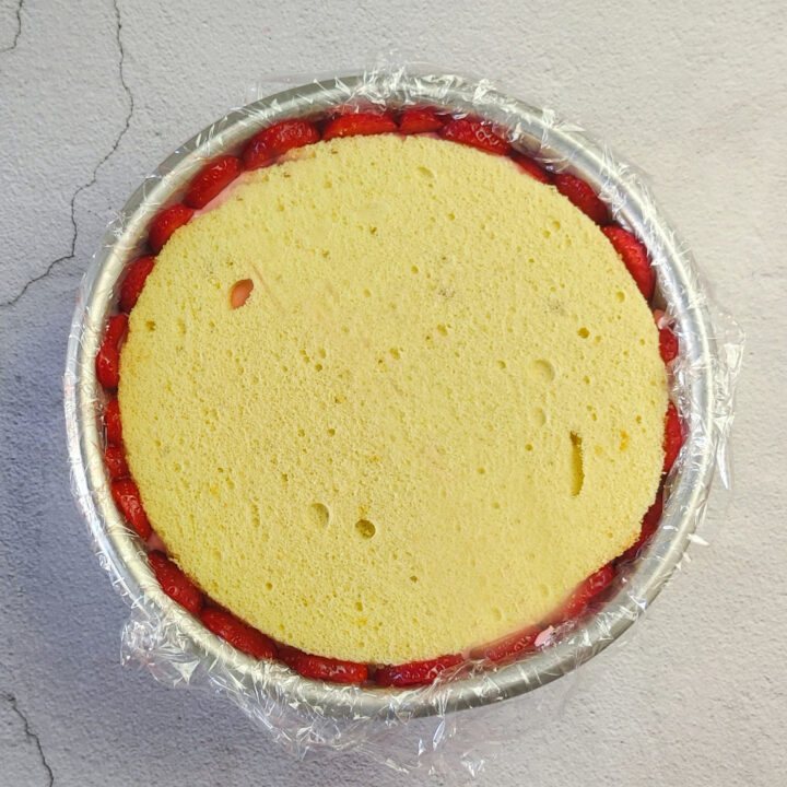 zuccotto cheesecake alle fragole