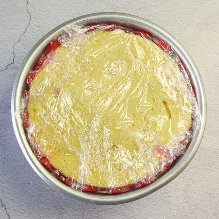 zuccotto cheesecake alle fragole