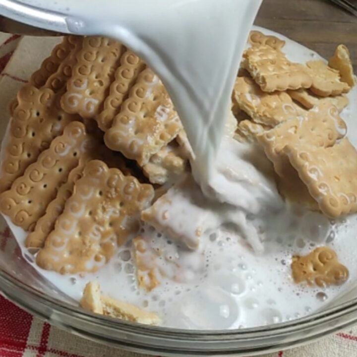 budino di biscotti e cioccolato