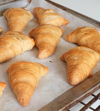 sfogliatelle ricce di pasta fillo (phyllo pastry) cotte