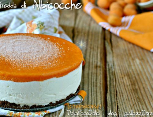 Torta fredda di albicocche senza forno – Le Cheesecake estive
