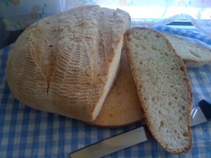 Pane fatto in casa con esubero di pasta madre ricetta genuina