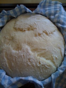 Pane fatto in casa con esubero di pasta madre ricetta 2