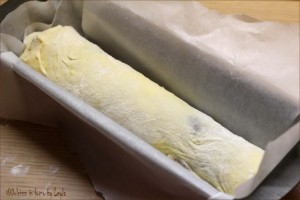Pane dolce alla Cannella – Cinnamon swirl bread Dulcisss in forno by Leyla 
