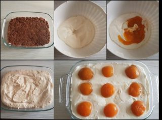Cheesecake alle albicocche senza forno Dulcisss in forno by Leyla