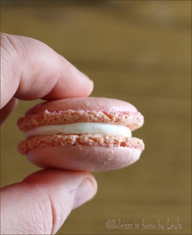 Macarons: dolci francesi raffinati  Ricette di cucina facili e veloci -  Ricettiamo - Easy and Fast Recipe