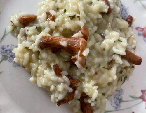 Risotto di finferli