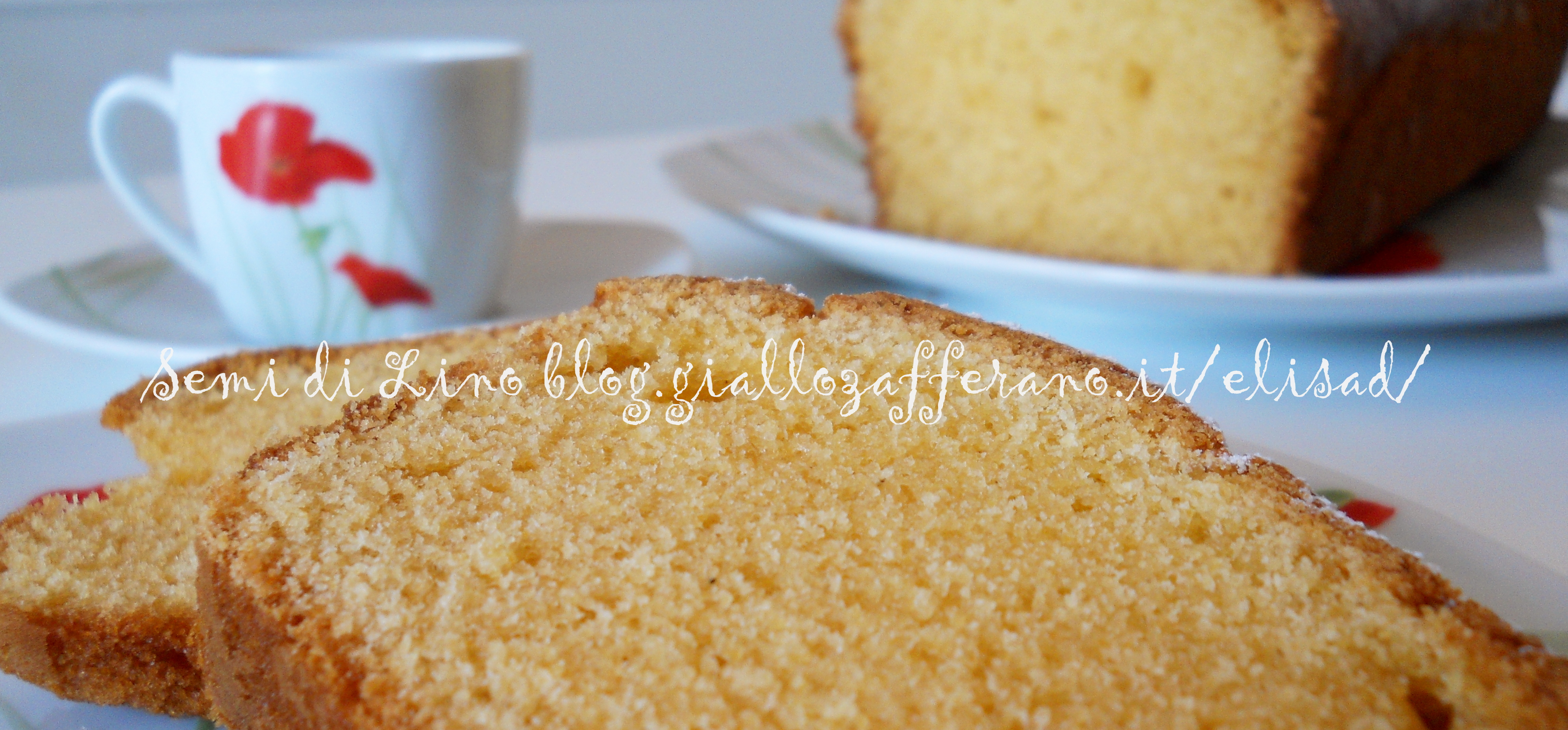 Plumcake alla farina mais fioretto - Ricetta Torta senza burro | Semi di Lino blog