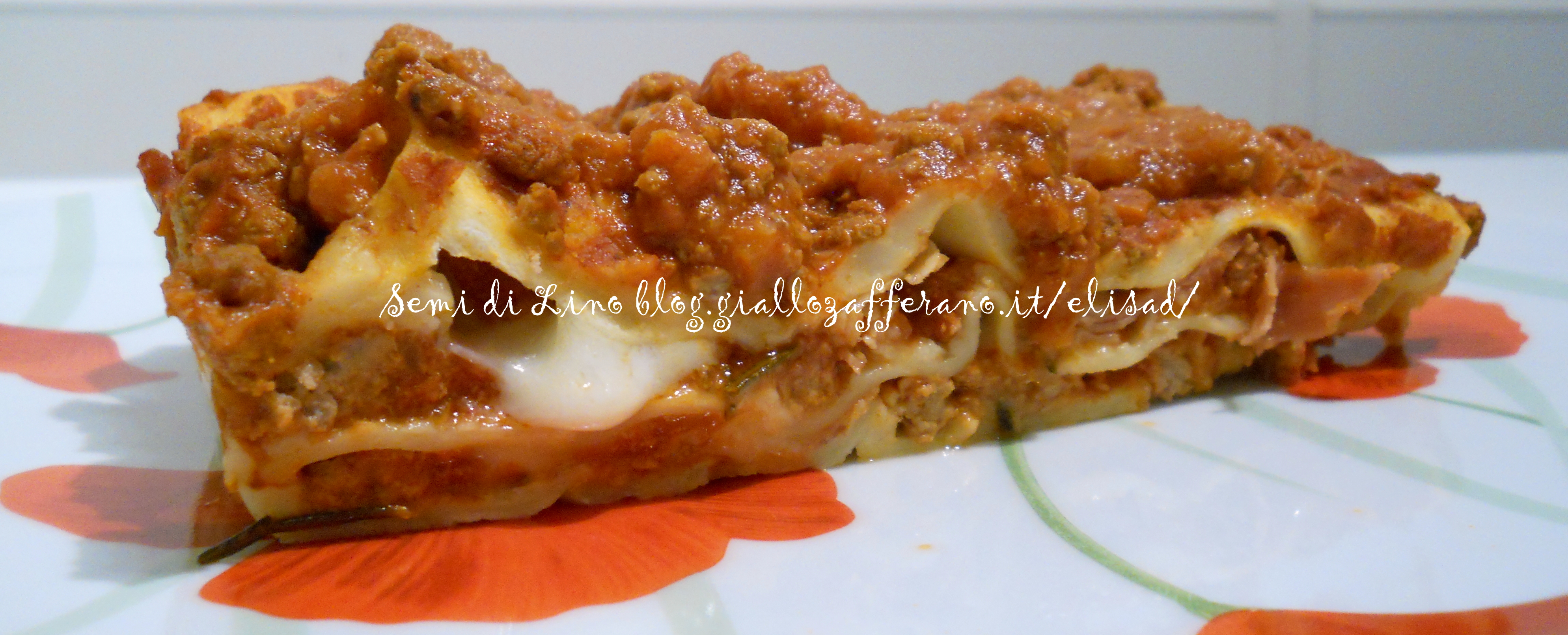 Lasagne con prosciutto e pecorino – Ricetta ricca