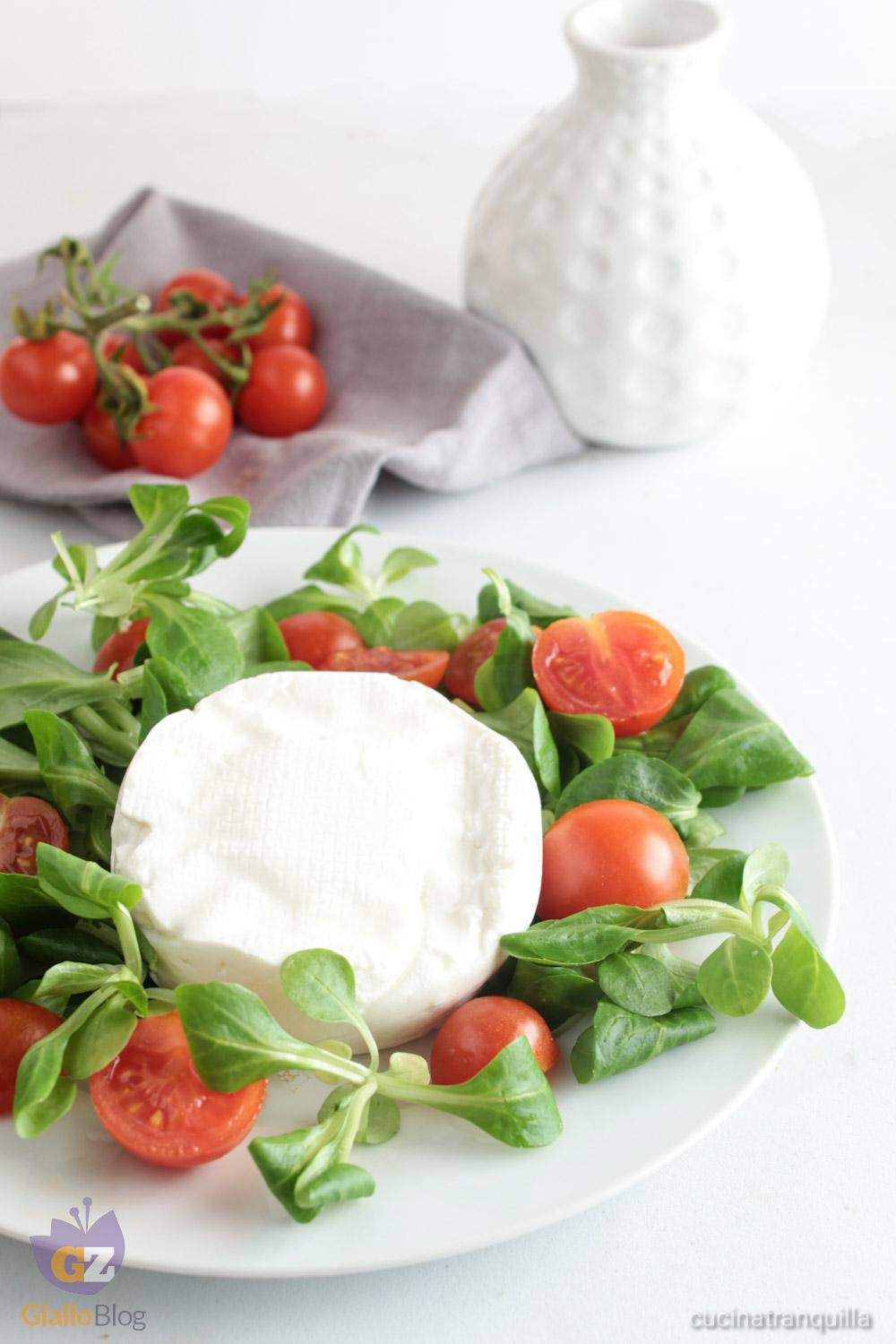 Formaggio fresco senza caglio, con limone - cucinatranquilla