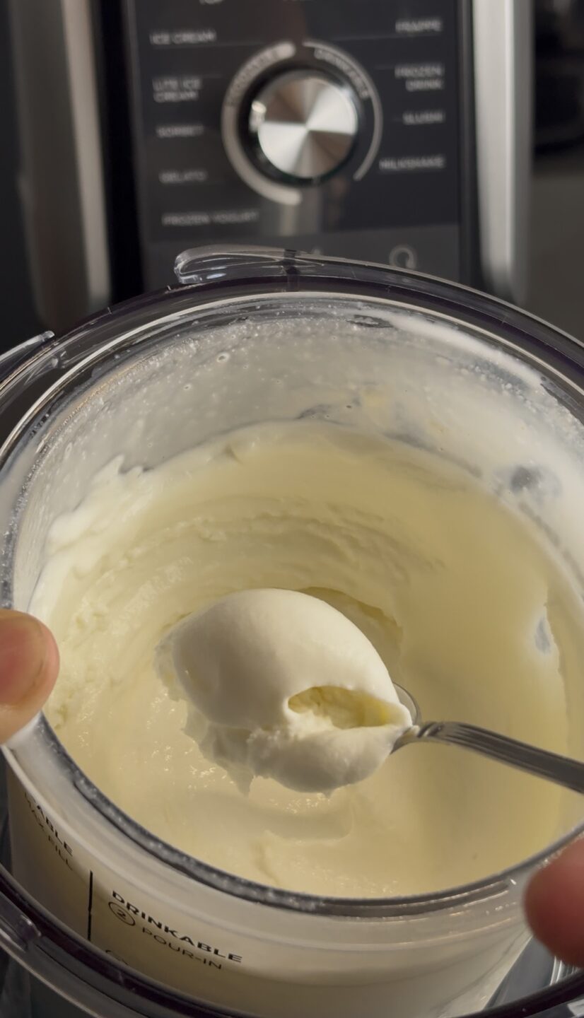 GELATO FIORDILATTE CON IL NINJA CREAMI FACILISSIMO