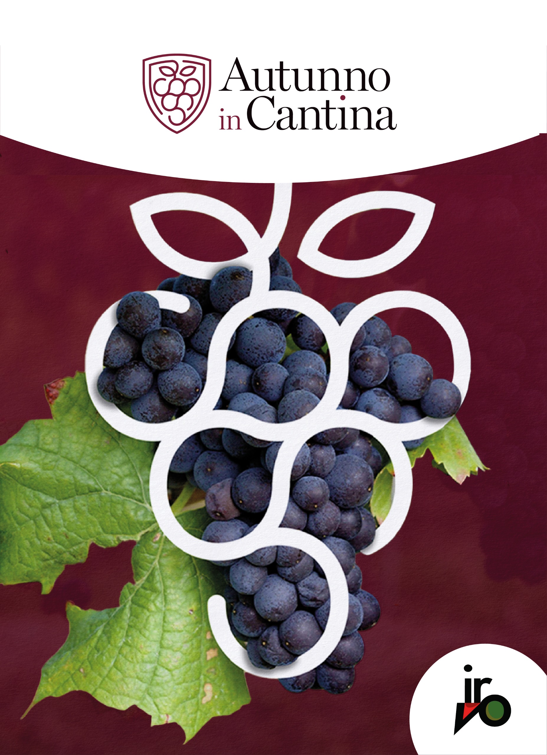 Autunno in Cantina 2026: il 4 ottobre alle Tenute Navarra di Butera tra vino, sapori e tradizioni di Sicilia