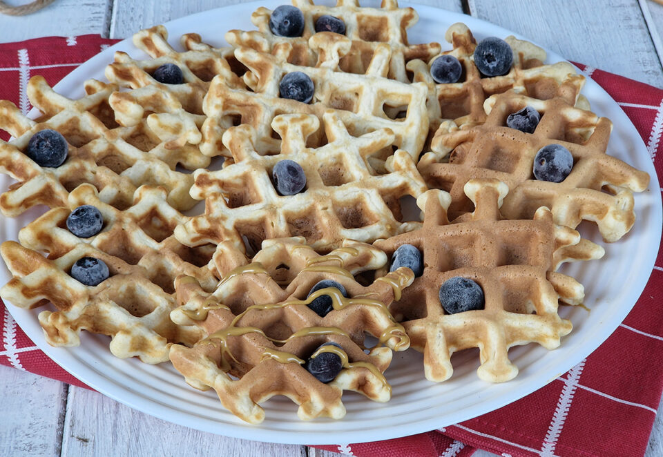 WAFFLE SEMPLICI senza olio senza burro