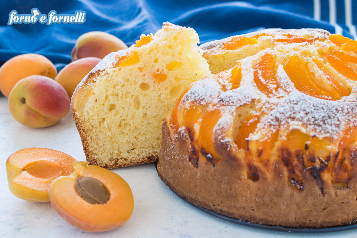 torta di albicocche