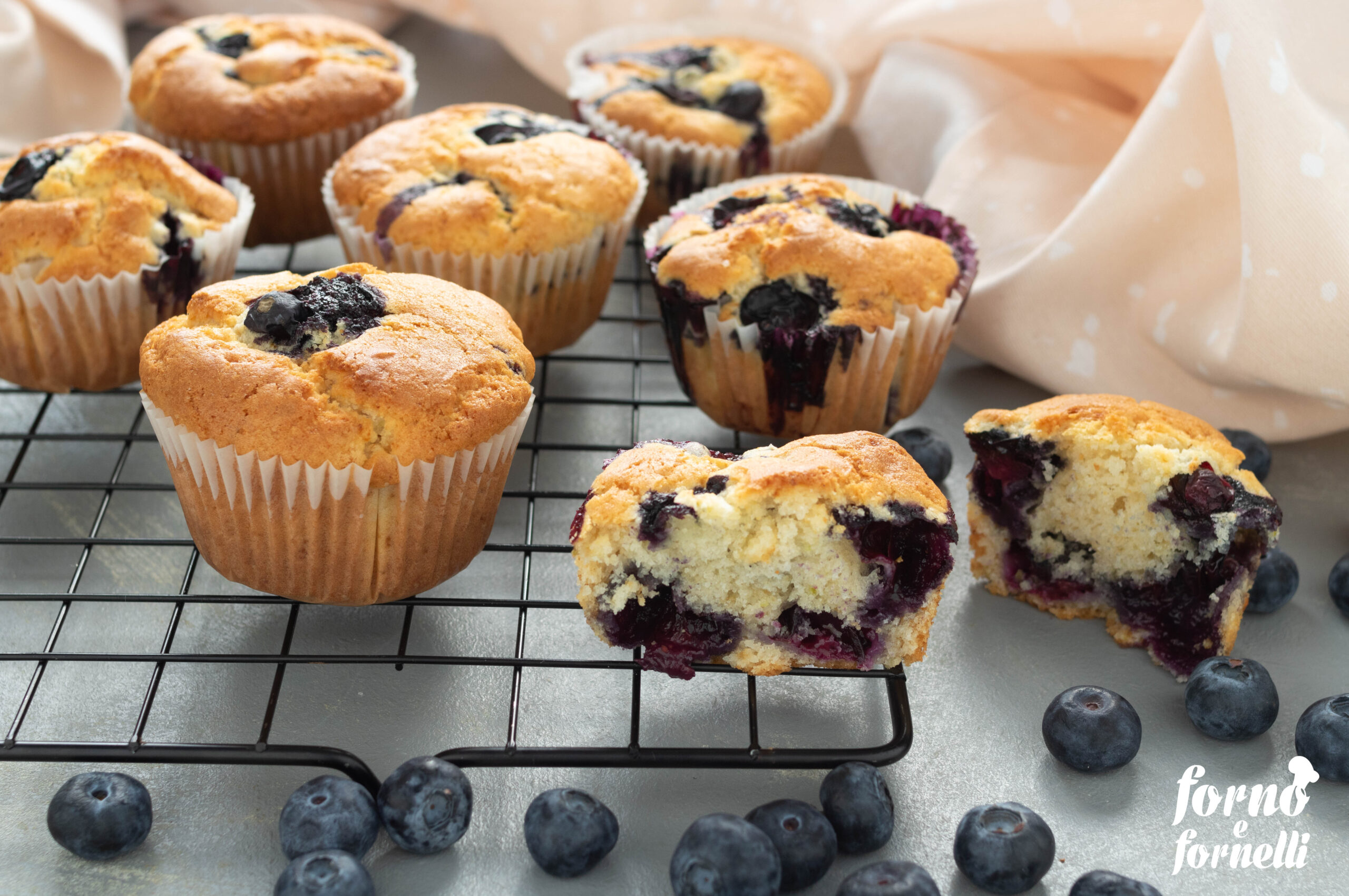 muffin ai mirtilli senza uova