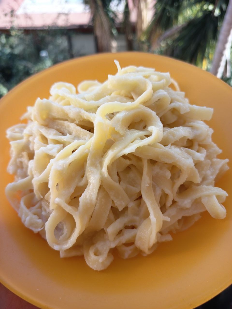 tagliatelle con crema di cavolo bianco