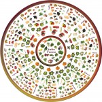 Frutta e verdura di stagione