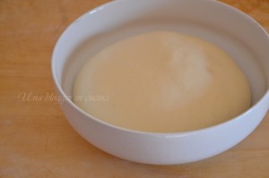 procedimento cornetti yogurt (6)
