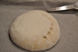 Pane bianco con lievito madre (8)