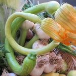 zucchine-Trombetta