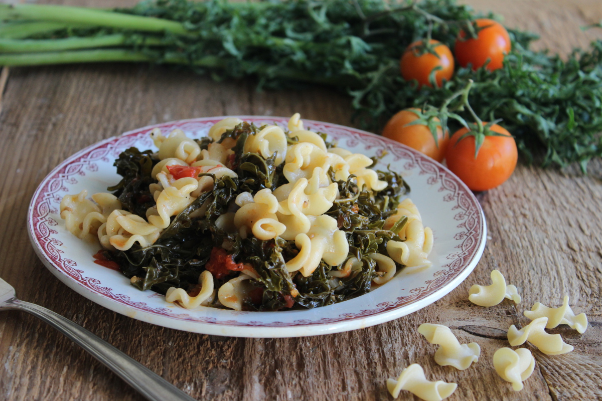 Cacca Riccio Ricetta pasta e cole riz o cavolo riccio primo piatto barese facile