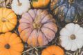 Frutta e Verdura di Ottobre: cosa consumare in questo mese