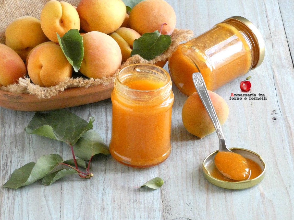 marmellata di albicocche
