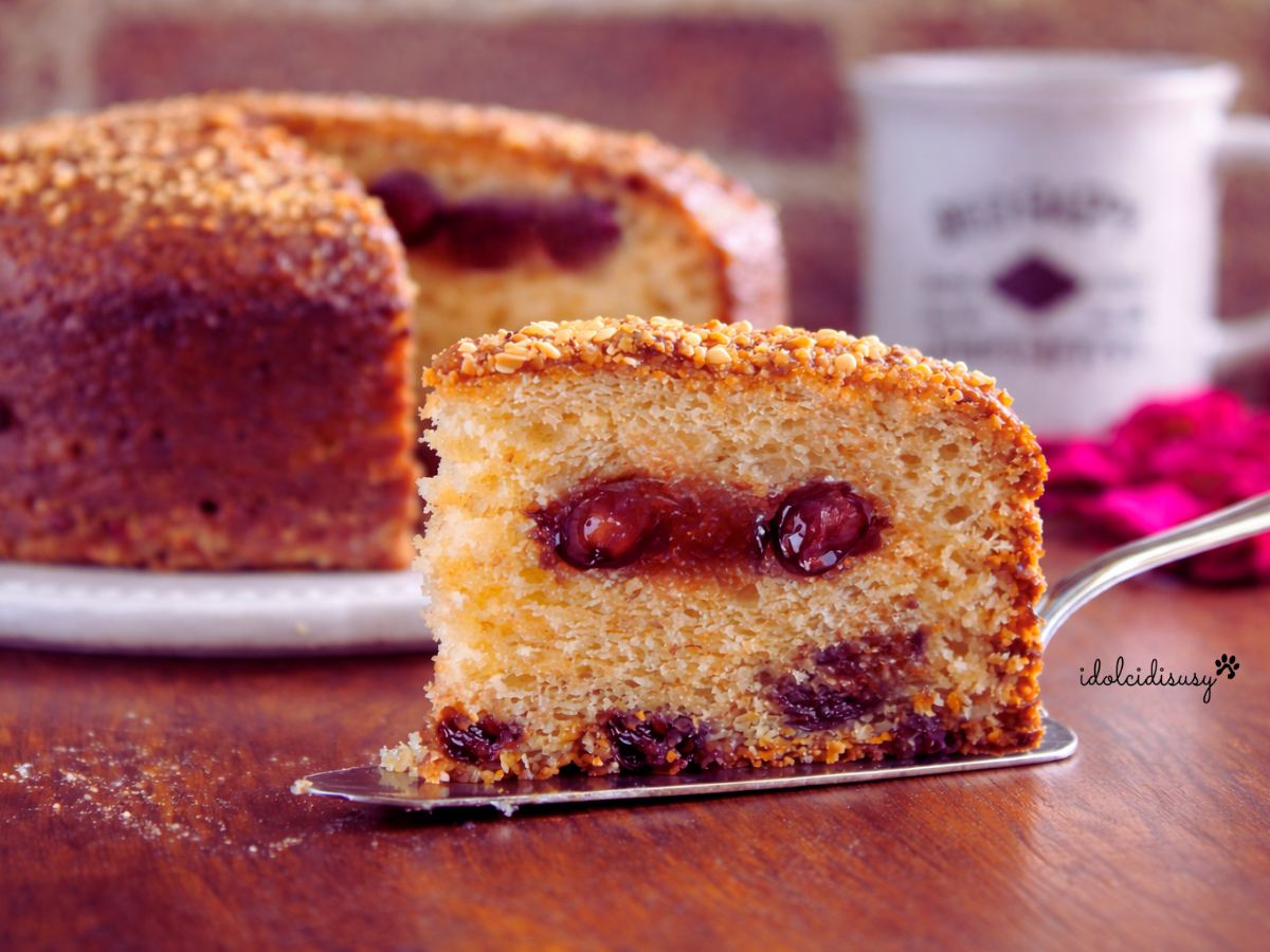 Fetta di torta allo yogurt greco soffice con amarene all’interno