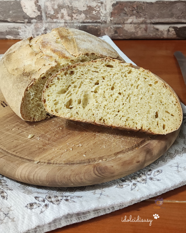 Pane fatto in casa impasto bimby idolcidisusy