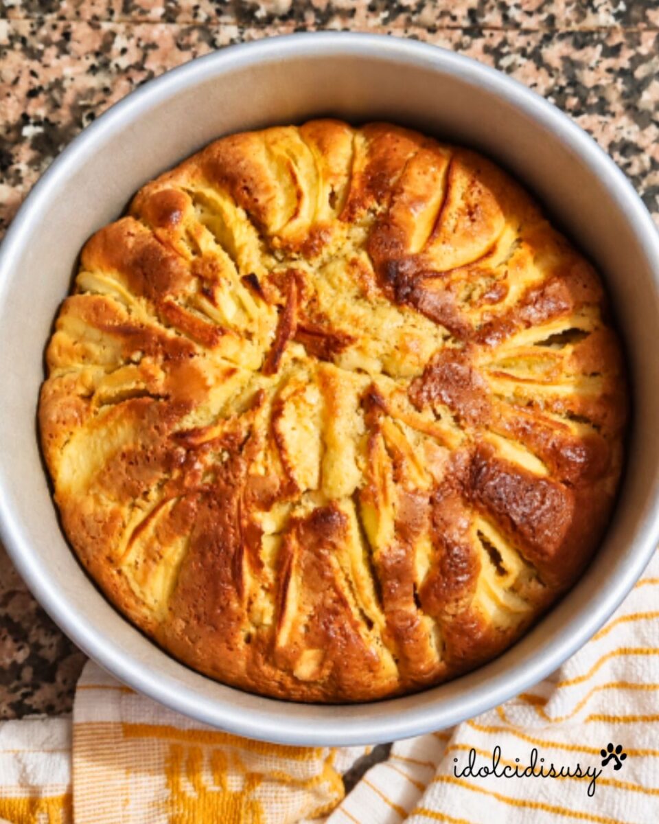 Torta di mele Bimby appena sfornata, decorata con fettine di mela