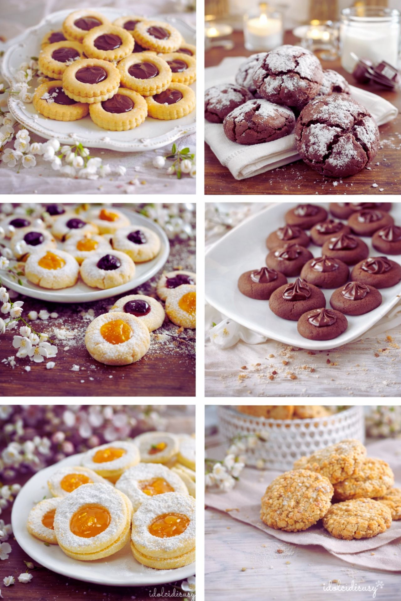 Ricette di biscotti facili e veloci fatti in casa con marmellata cacao zucchero a velo e biscotti alla frutta secca