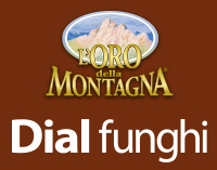 Dial funghi