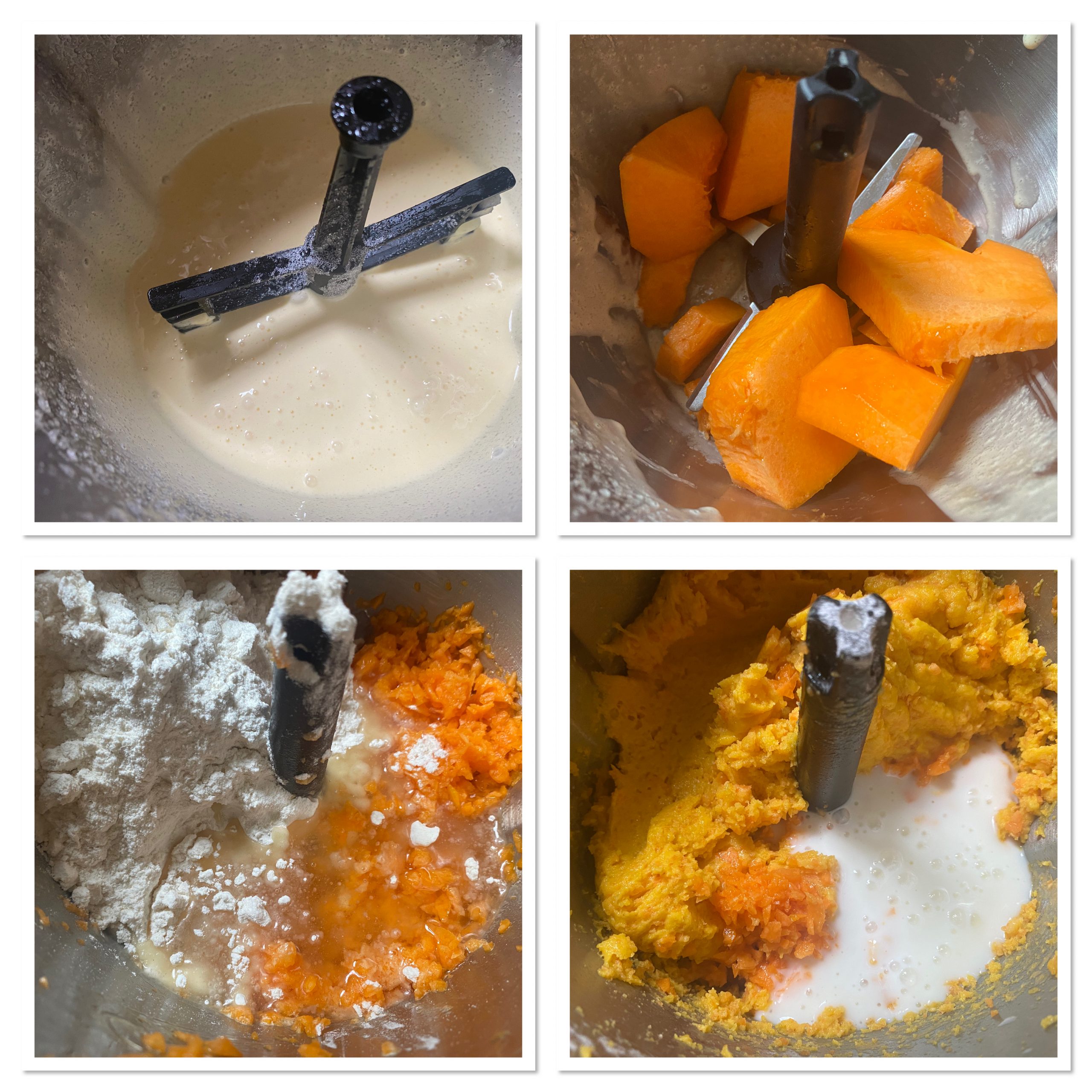 Torta alla zucca cacao e cioccolato fondente