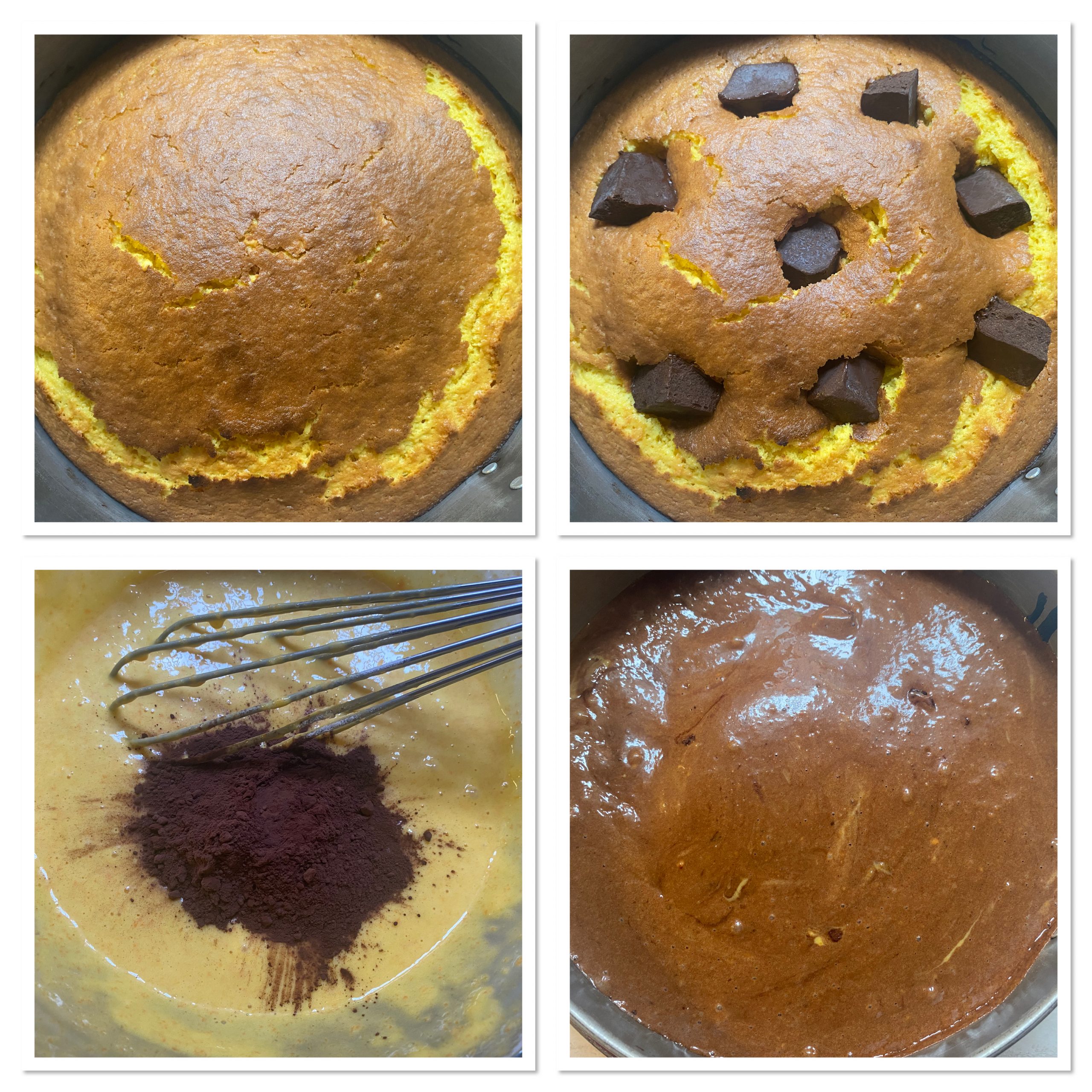 Torta alla zucca cacao e cioccolato fondente