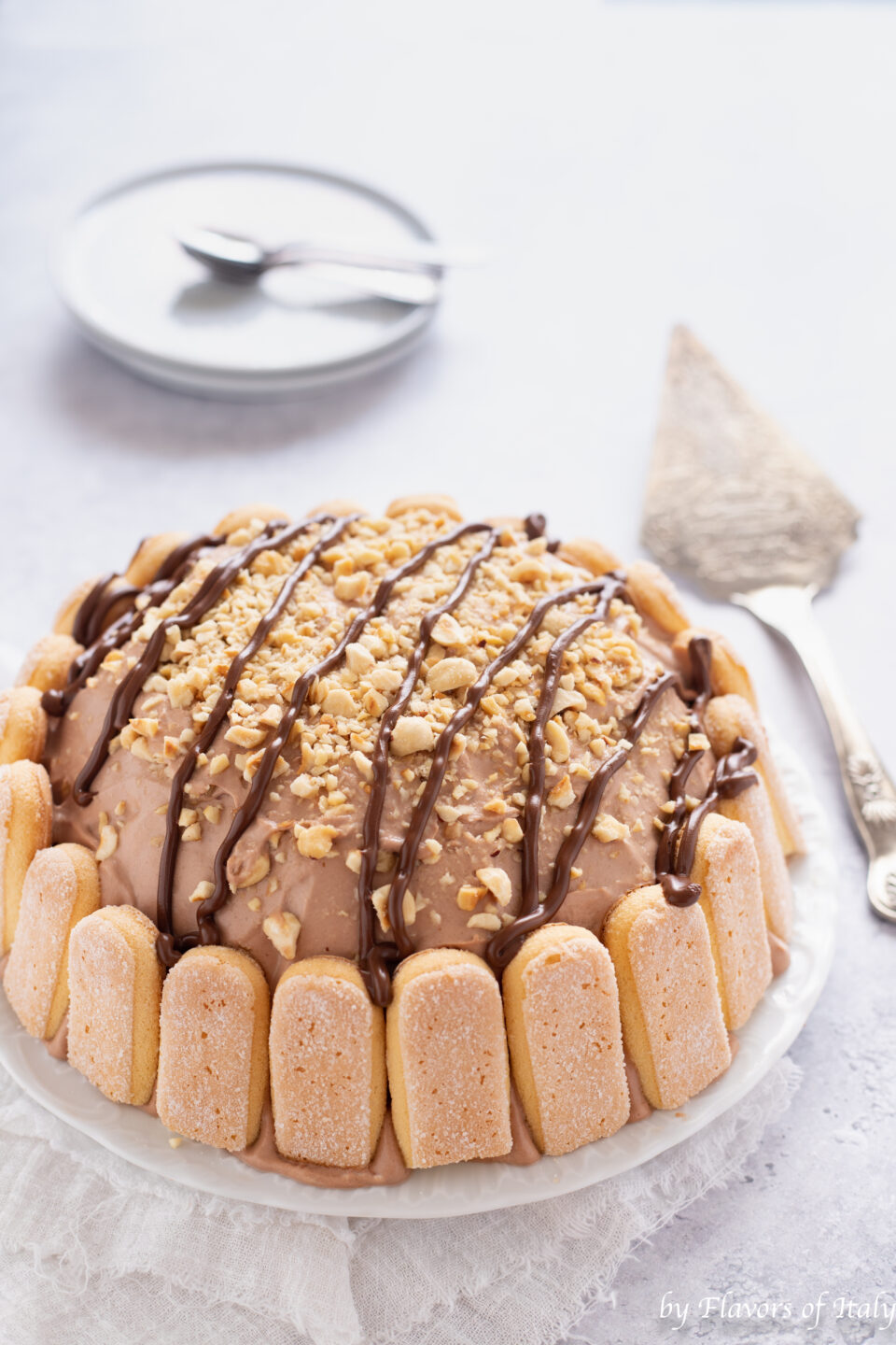 zuccotto savoiardi e nutella