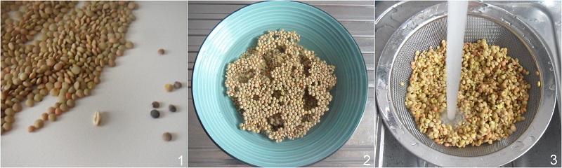 lenticchie in umido nella pentola a pressione ricetta veloce il chicco di mais 1 tenere a basgno le lenticchie