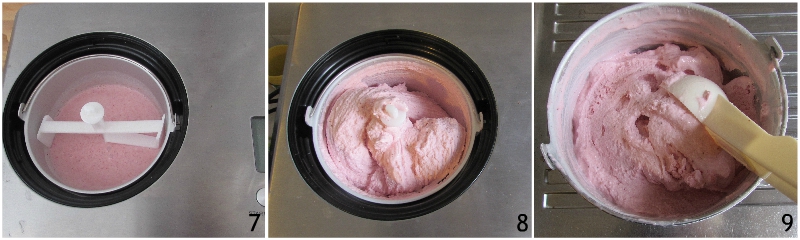 gelato alla fragola cremoso con la gelatiera senza uova senza addensanti ricetta infallibile il chicco di mais 3 fare il gelato nella gelatiera