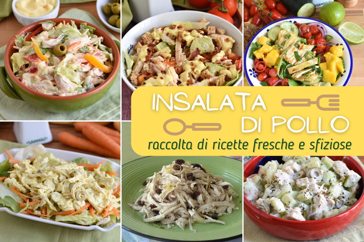 Raccolta di ricette per insalata di pollo fresca e sfiziosa facile estiva leggera per pausa pranzo il chicco di mais