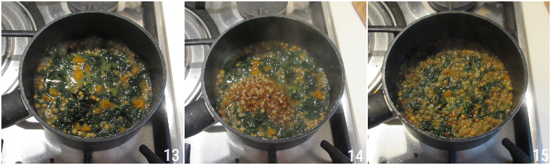 zuppa di miglio e lenticchie con miglio bruno integrale verdure e cavolo nero il chicco di mais 5 unire il miglio