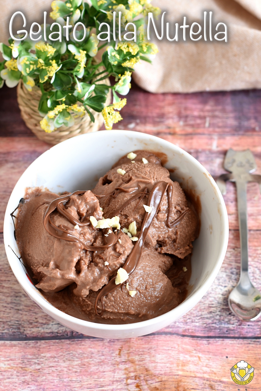 v_ gelato alla nutella con la gelatiera senza latte condensato solo 4 ingredienti comuni il chicco di mais