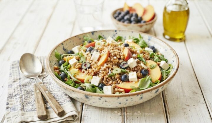 Un piatto colorato di insalata di farro fredda con cubetti di pesche, mirtilli freschi, formaggio e cipollotto.